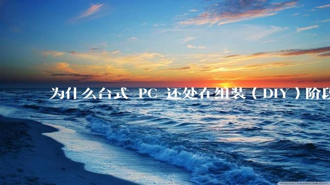 为什么台式 PC 还处在组装（DIY）阶段？