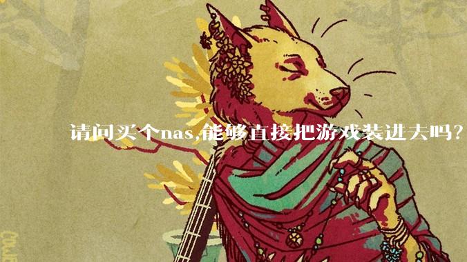 请问买个nas,能够直接把游戏装进去吗？