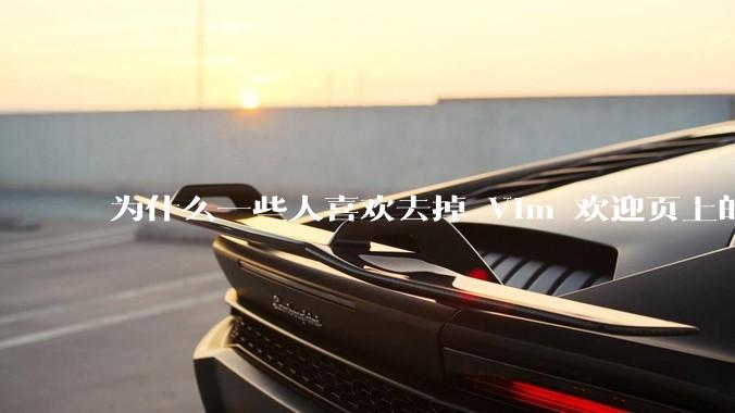 为什么一些人喜欢去掉 Vim 欢迎页上的“帮助乌干达的可怜儿童”？