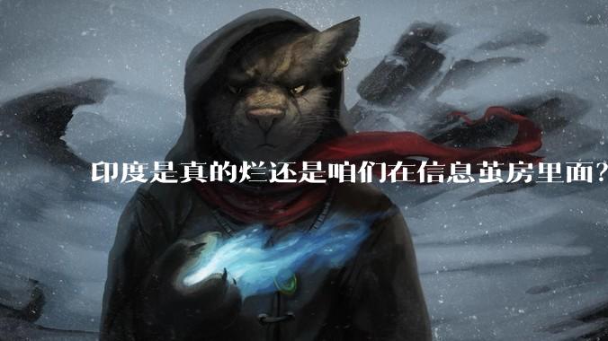 印度是真的烂还是咱们在信息茧房里面？