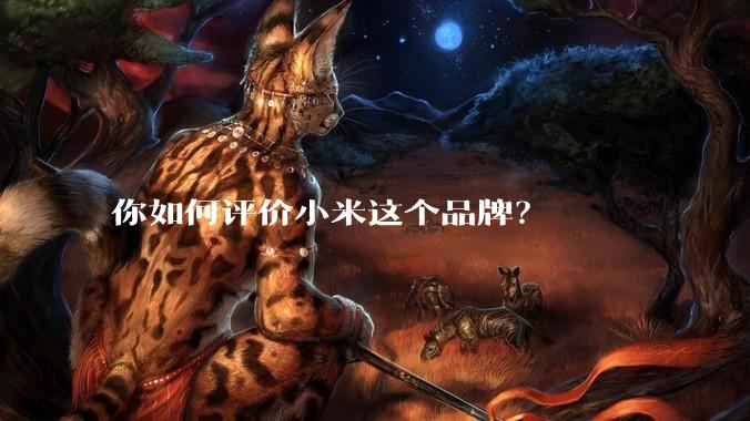 你如何评价小米这个品牌？
