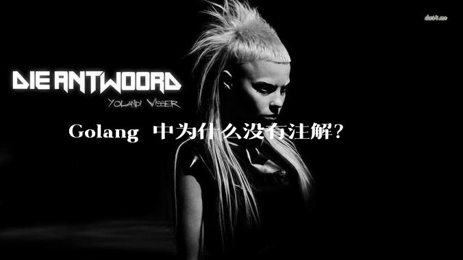 Golang 中为什么没有注解？