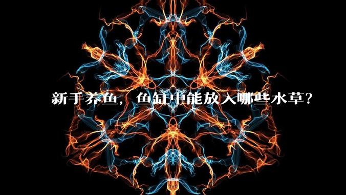 新手养鱼，鱼缸中能放入哪些水草？
