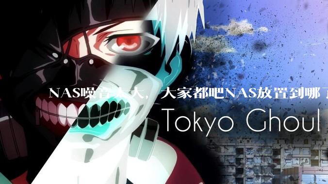 NAS噪音太大，大家都吧NAS放置到哪了？